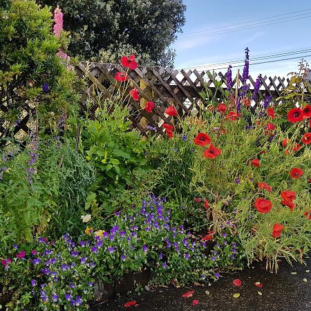 The Green House B&B Whitianga Extérieur photo