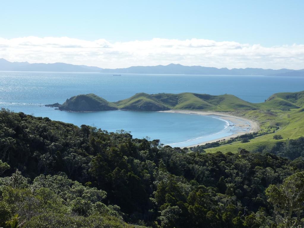 The Green House B&B Whitianga Extérieur photo