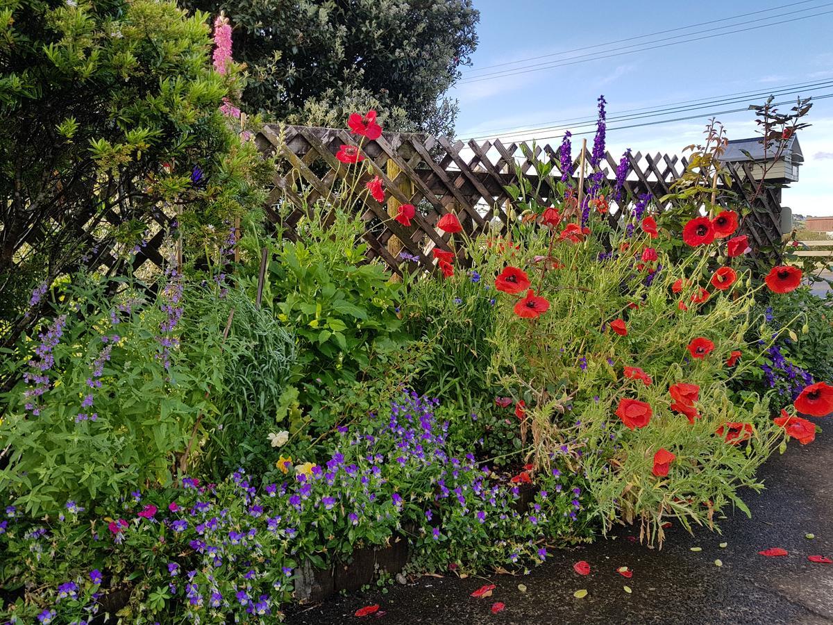 The Green House B&B Whitianga Extérieur photo