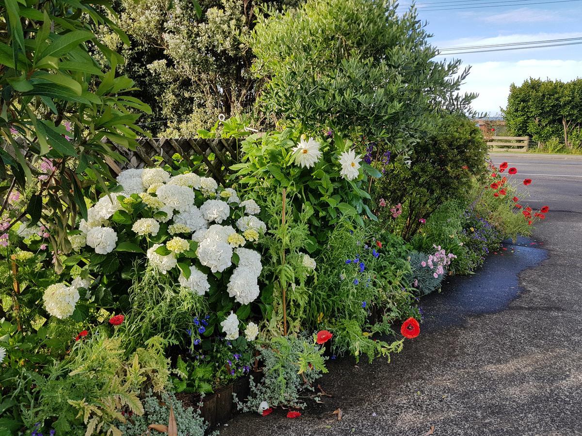 The Green House B&B Whitianga Extérieur photo